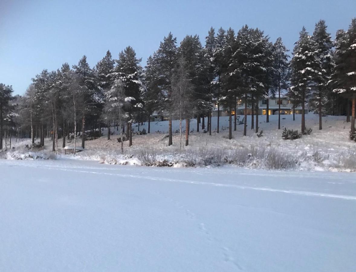 Arctic Sofia Riverstudio Rovaniemi Exteriör bild